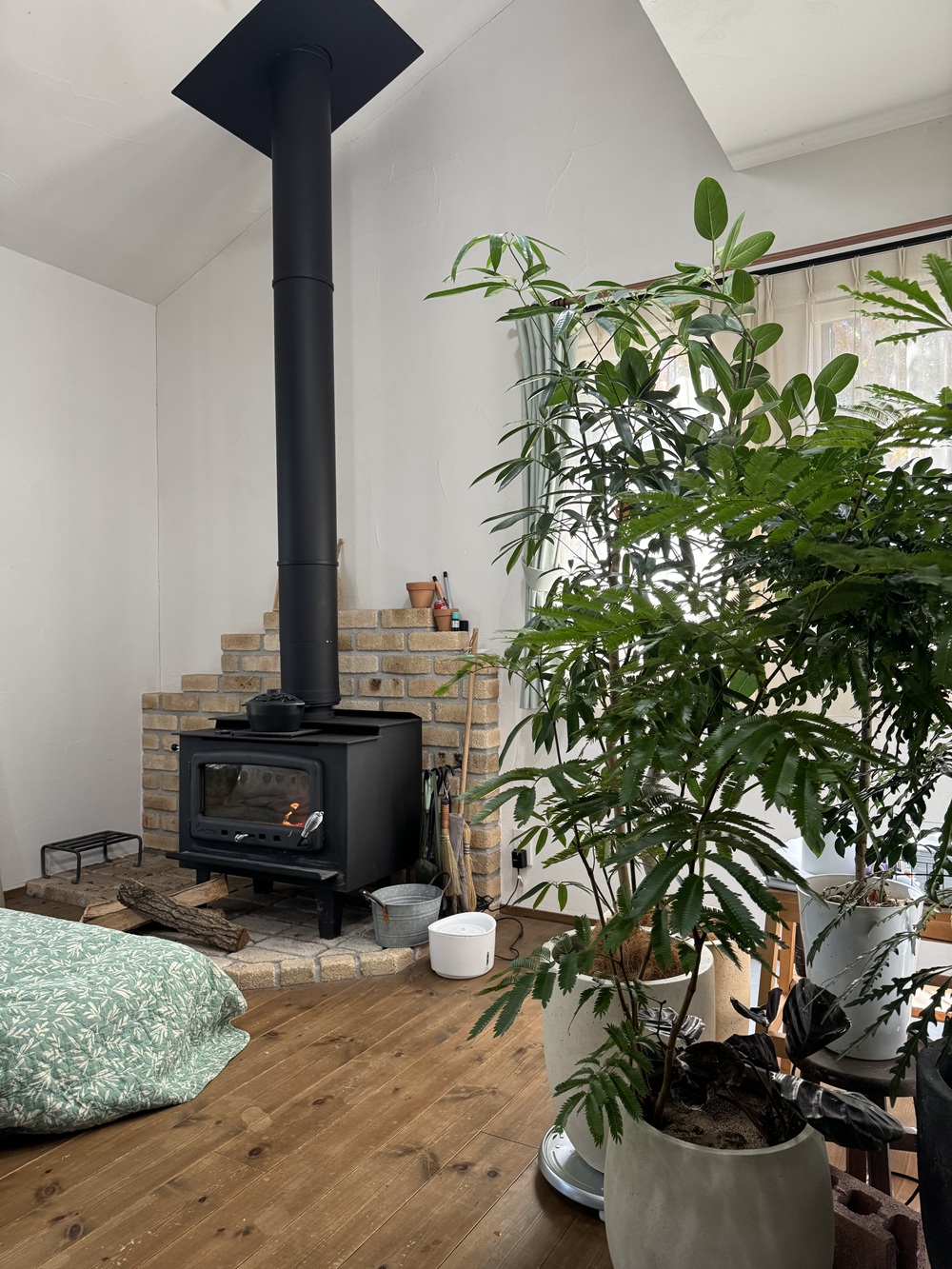 植物に囲まれた 癒しの家