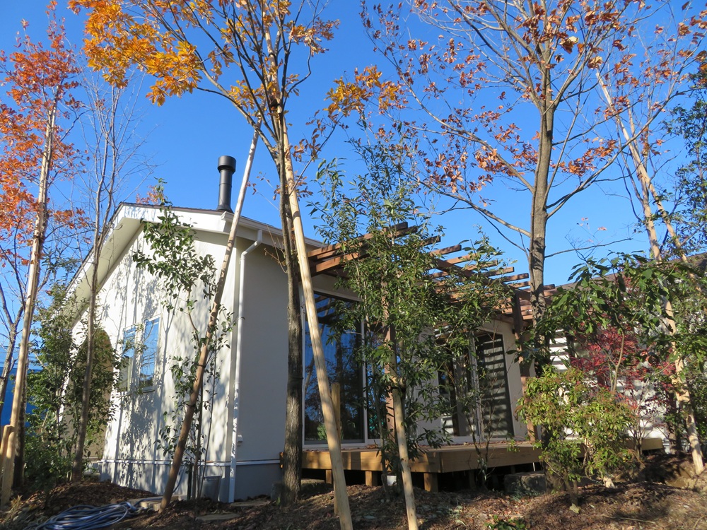 植物に囲まれた 癒しの家
