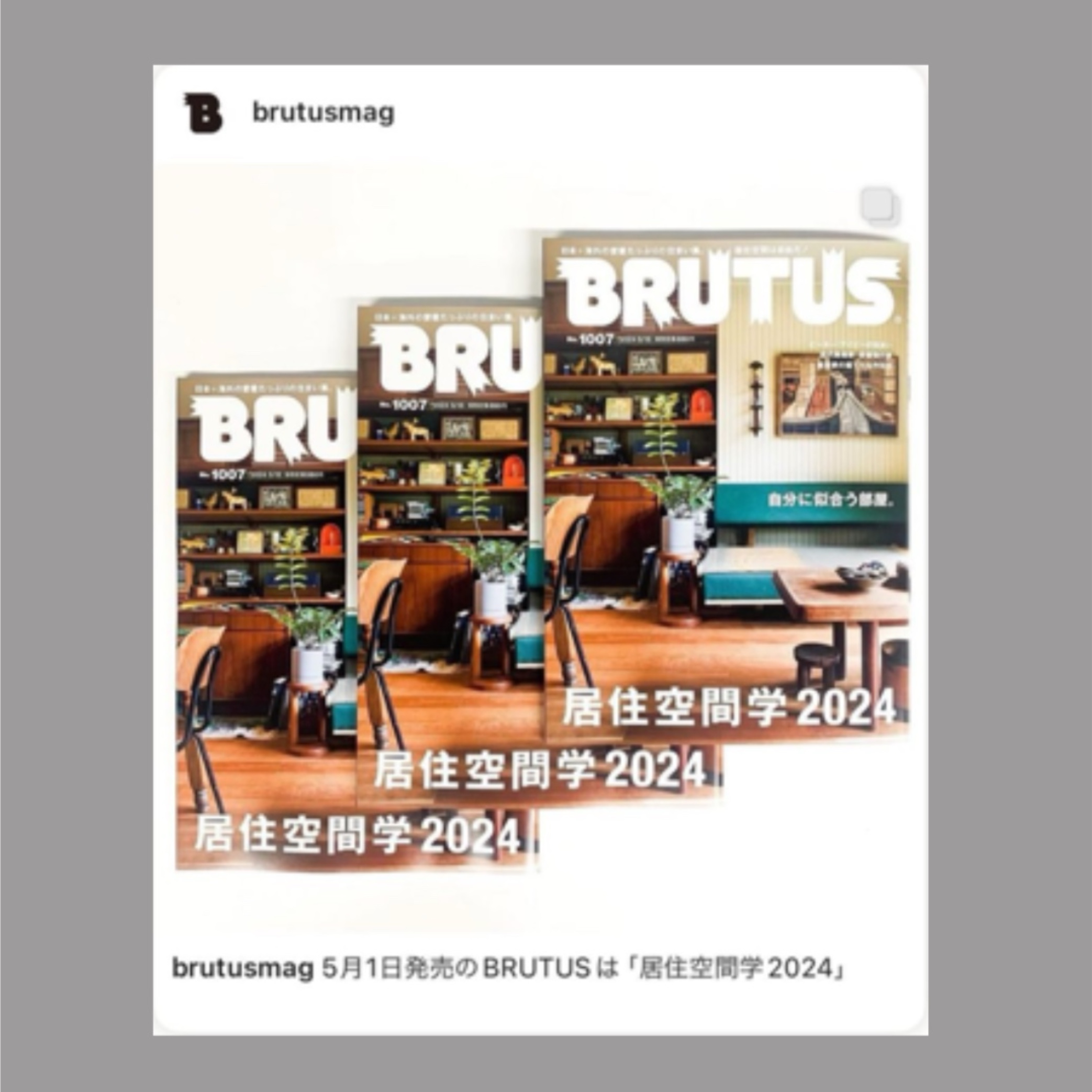 『 BRUTUS 居住空間学 2024 』掲載